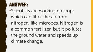 ANSWER:
•Scientists are working on crops
which can filter the air from
nitrogen, like microbes. Nitrogen is
a common fertilizer, but it pollutes
the ground water and speeds up
climate change.
 