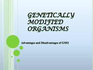 GENETICALLY MODIFIED        ORGANISMS Advantages and Disadvantages of GMO 