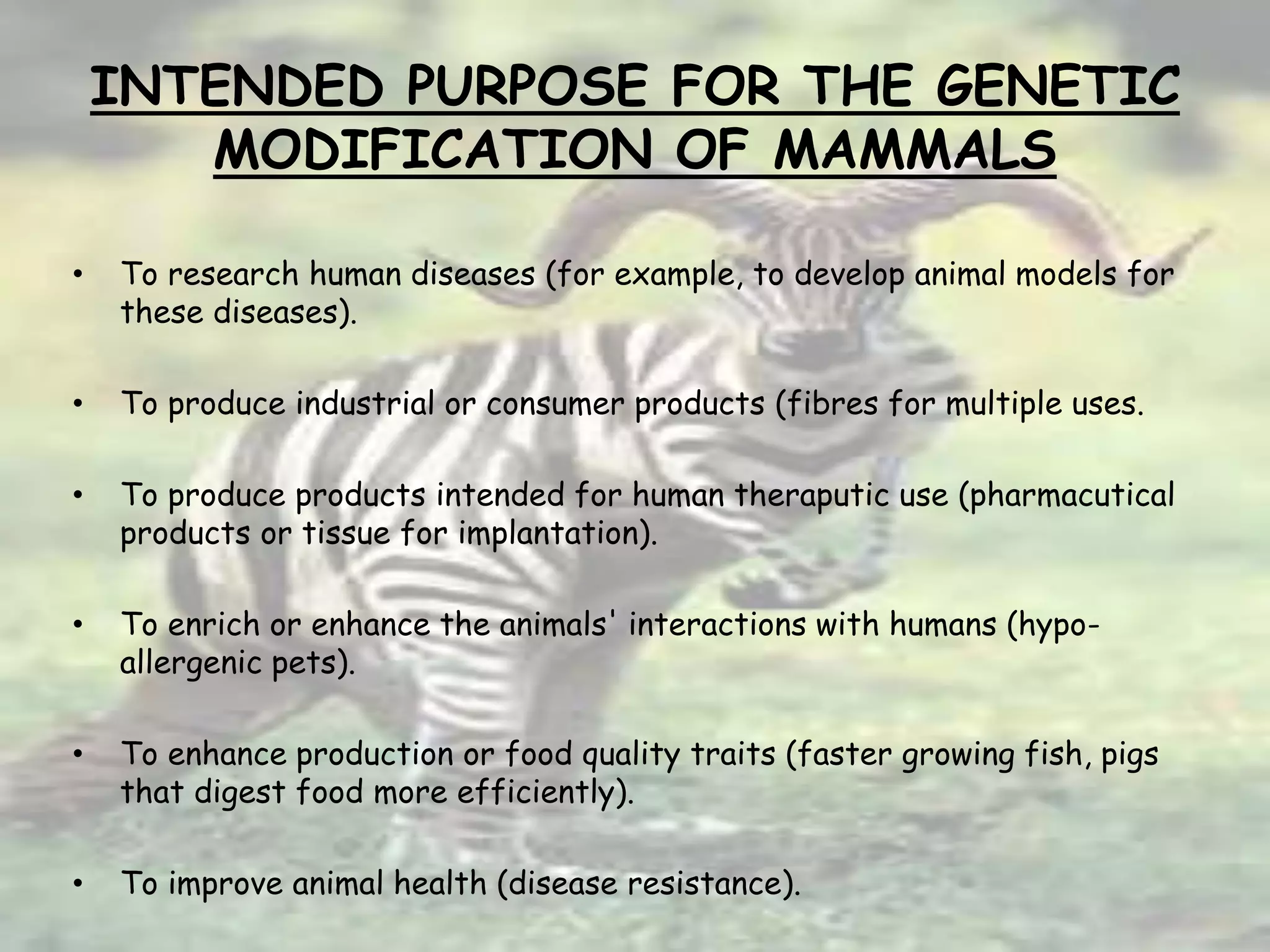 INTENDED PURPOSE FOR THE GENETIC
MODIFICATION OF MAMMALS
• To research human diseases (for example, to develop animal models for
these diseases).
• To produce industrial or consumer products (fibres for multiple uses.
• To produce products intended for human theraputic use (pharmacutical
products or tissue for implantation).
• To enrich or enhance the animals' interactions with humans (hypo-
allergenic pets).
• To enhance production or food quality traits (faster growing fish, pigs
that digest food more efficiently).
• To improve animal health (disease resistance).
 