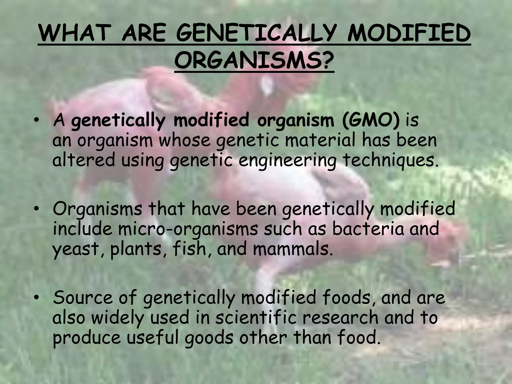 WHAT ARE GENETICALLY MODIFIED
ORGANISMS?
• A genetically modified organism (GMO) is
an organism whose genetic material has been
altered using genetic engineering techniques.
• Organisms that have been genetically modified
include micro-organisms such as bacteria and
yeast, plants, fish, and mammals.
• Source of genetically modified foods, and are
also widely used in scientific research and to
produce useful goods other than food.
 