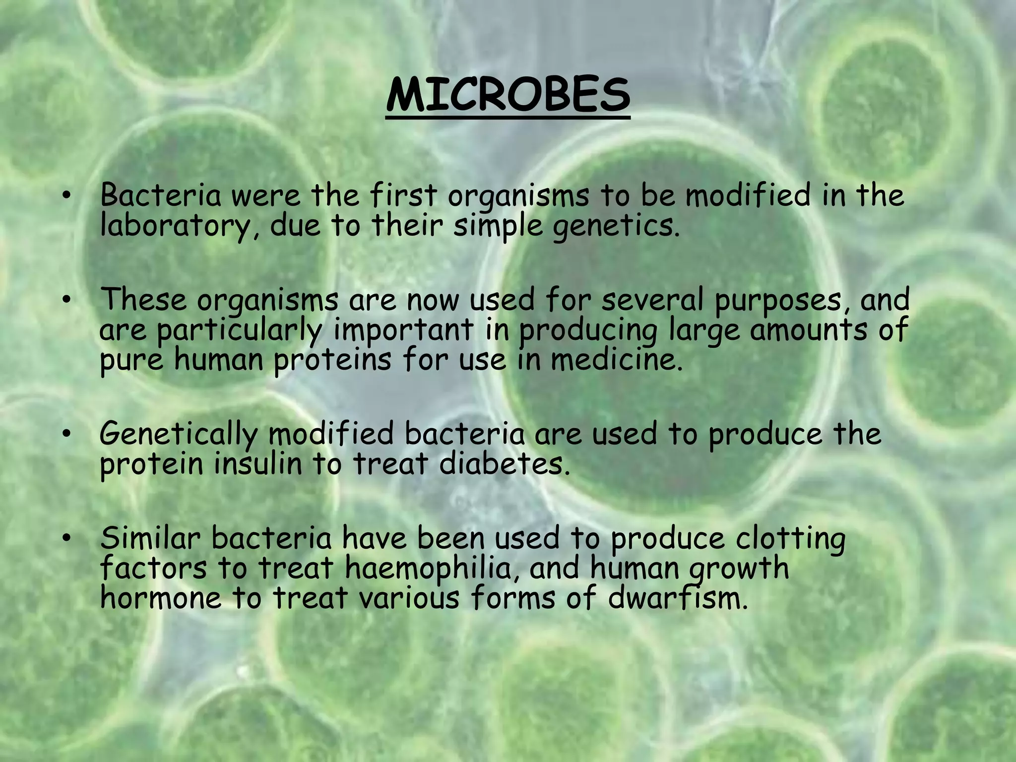 MICROBES
• Bacteria were the first organisms to be modified in the
laboratory, due to their simple genetics.
• These organisms are now used for several purposes, and
are particularly important in producing large amounts of
pure human proteins for use in medicine.
• Genetically modified bacteria are used to produce the
protein insulin to treat diabetes.
• Similar bacteria have been used to produce clotting
factors to treat haemophilia, and human growth
hormone to treat various forms of dwarfism.
 