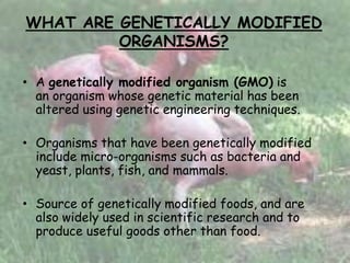 WHAT ARE GENETICALLY MODIFIED
ORGANISMS?
• A genetically modified organism (GMO) is
an organism whose genetic material has been
altered using genetic engineering techniques.
• Organisms that have been genetically modified
include micro-organisms such as bacteria and
yeast, plants, fish, and mammals.
• Source of genetically modified foods, and are
also widely used in scientific research and to
produce useful goods other than food.
 