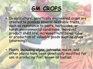 GM CROPS
• In agriculture, genetically engineered crops are
created to possess several desirable traits,
such as resistance to pests, herbicides, or
harsh environmental conditions, improved
product shelf life, increased nutritional value,
or production of valuable goods such as drugs
(pharming).
• Plants, including algae, jatropha, maize, and
other plants have been genetically modified for
use in producing fuel, known as biofuel.
 