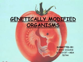 GENETICALLY MODIFIED
ORGANISMS
SUBMITTED BY:
TANVI VASANI
B.TECH BT + MBA
7BT44
 