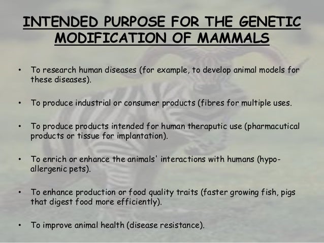 outline for research paper on genetic engineering