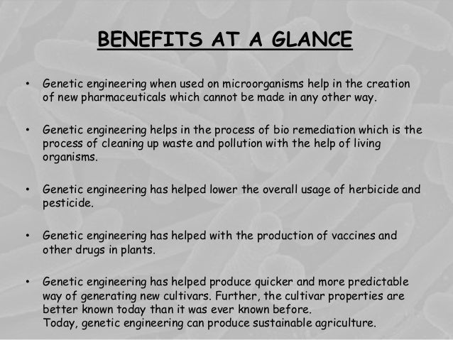 the bright future of genetic engineering essay So, in this essay we are going to look at the area of genetic engineering the future of genetics, like that of any other although this is a promise in the future, we are already involved in genetic counseling and the significant ethical concerns for the remainer of this essay. the bright future of genetic engineering essay So, in this essay we are going to look at the area of genetic engineering the future of genetics, like that of any other although this is a promise in the future, we are already involved in genetic counseling and the significant ethical concerns for the remainer of this essay.
