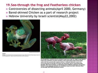  Controversies of dissecting animals(April 2000, Germany)
 Bared-skinned Chicken as a part of research project
 Hebrew ...