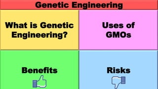 Genetic Engineering
What is Genetic
Engineering?
Uses of
GMOs
Benefits Risks
 