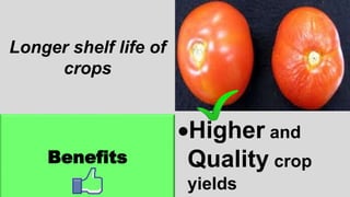 Longer shelf life of
crops
Benefits
Higher and
Quality crop
yields
 