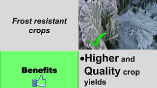 Frost resistant
crops
Benefits
Higher and
Quality crop
yields
 