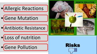 Risks
• Allergic Reactions
• Gene Mutation
• Antibiotic Resistance
• Loss of nutrition
• Gene Pollution
 