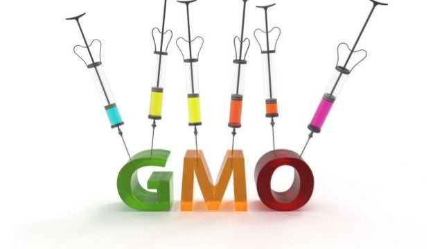 Genetically modified food background