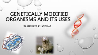 GENETICALLY MODIFIED
ORGANISMS AND ITS USES
BY SHAHZEB KHAN SHAZ
 