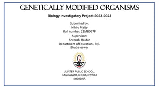 Genetically modified organisms
Biology Investigatory Project 2023-2024
Submitted by:
Nihira Maity
Roll number: 22MB067P
Supervisor:
Shreoshi Haldar
Department of Education , RIE,
Bhubaneswar
JUPITER PUBLIC SCHOOL,
GANGAPADA,BHUBANESWAR
KHORDHA
 