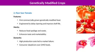 Genetically Modified Crops
2. Flavr Savr Tomato
Features:
• First commercially grown genetically modified food.
• Engineered to delay ripening and improve shelf life.
Merits:
• Reduces food spoilage and waste.
• Enhances taste and marketability.
Demerits:
• High production costs led to market failure.
• Consumer skepticism over GMO foods.
 