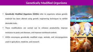 Genetically Modified Organisms
• Genetically Modified Organisms (GMOs) refer to organisms whose genetic
material has been altered using genetic engineering techniques to exhibit
desirable traits.
• These modifications are carried out to enhance productivity, improve
resistance to pests and diseases, and improve nutritional content.
• GMOs encompass genetically modified crops, animals, and microorganisms
used in agriculture, medicine, and research.
 