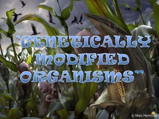 ‘’GENETICALLY MODIFIED ORGANISMS” 