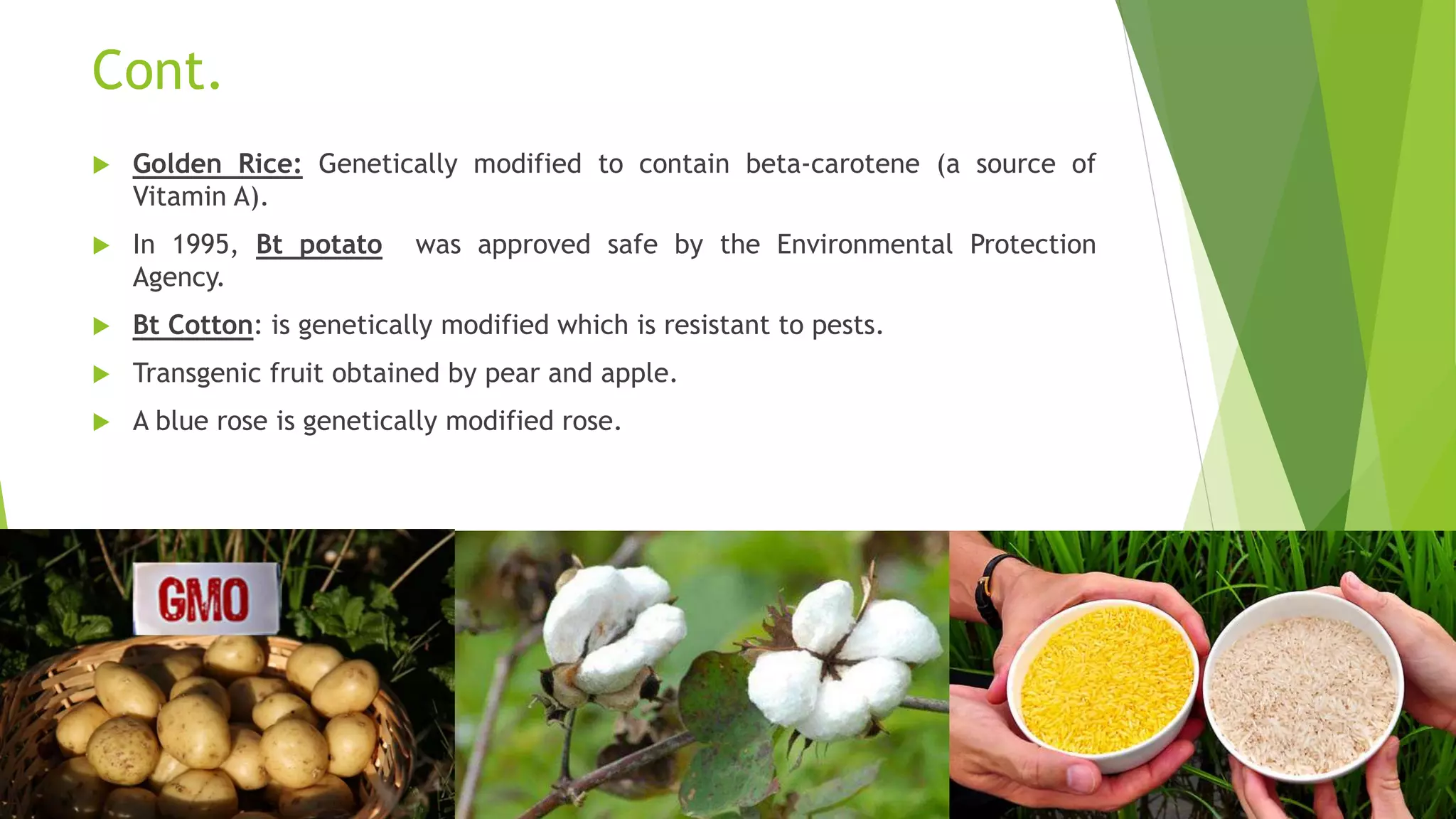 Gmo Roses Genetically modified Organisms and Foods | PPTX
