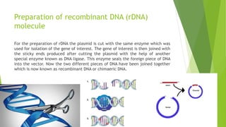 Preparation of recombinant DNA (rDNA)
molecule
For the preparation of rDNA the plasmid is cut with the same enzyme which was
used for isolation of the gene of interest. The gene of interest is then joined with
the sticky ends produced after cutting the plasmid with the help of another
special enzyme known as DNA ligase. This enzyme seals the foreign piece of DNA
into the vector. Now the two different pieces of DNA have been joined together
which is now known as recombinant DNA or chimaeric DNA.
 
