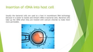 Insertion of rDNA into host cell
Usually the bacterial cells are used as a host in recombinant DNA technology
because it is easier to isolate and reinsert rDNA in bacterial cells. Bacterial cells
take up the rDNA when they are treated with calcium chloride to make them
more permeable.
 