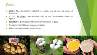 Cont.
 Golden Rice: Genetically modified to contain beta-carotene (a source of
Vitamin A).
 In 1995, Bt potato was approved safe by the Environmental Protection
Agency.
 Bt Cotton: is genetically modified which is resistant to pests.
 Transgenic fruit obtained by pear and apple.
 A blue rose is genetically modified rose.
 