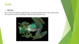 Cont.
 GM Frog:
It’s a miracle of genetic engineering u can see through the skin how organs grow,
how cancers starts and develops without dissecting the frog.
 
