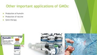 Other important applications of GMOs:
 Production of humulin
 Production of vaccine
 Gene therapy
 