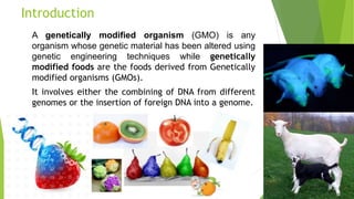 Introduction
A genetically modified organism (GMO) is any
organism whose genetic material has been altered using
genetic engineering techniques while genetically
modified foods are the foods derived from Genetically
modified organisms (GMOs).
It involves either the combining of DNA from different
genomes or the insertion of foreign DNA into a genome.
 