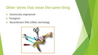 Other terms that mean the same thing
 Genetically engineered
 Transgenic
 Recombinant DNA (rDNA) technology
 