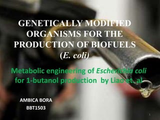 GENETICALLY MODIFIED
ORGANISMS FOR THE
PRODUCTION OF BIOFUELS
(E. coli)
AMBICA BORA
BBT1503
1
Metabolic engineering of Escherichia coli
for 1-butanol production by Liao et. al
 