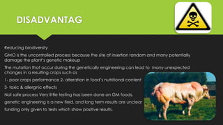 DISADVANTAG
Reducing biodiversity
GMO is the uncontrolled process because the site of insertion random and many potentially
damage the plant’s genetic makeup
The mutation that occur during the genetically engineering can lead to many unexpected
changes in a resulting crops such as
1- poor crops performance 2- alteration in food’s nutritional content
3- toxic & allergnic effects
Not safe process Very little testing has been done on GM foods.
genetic engineering is a new field, and long term results are unclear
funding only given to tests which show positive results.
 