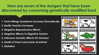 Here are seven of the dangers that have been
discovered by consuming genetically modified food
1. Food Allergy Symptoms Increase Dramatically
2. Bodily Toxicity Increases
3. Negative Reproductive Effects
4. Negative Effects To Digestive System
5. Unknown Genetic Effects On Humans
6. Death of insect and some of animal
7. Mutation
 