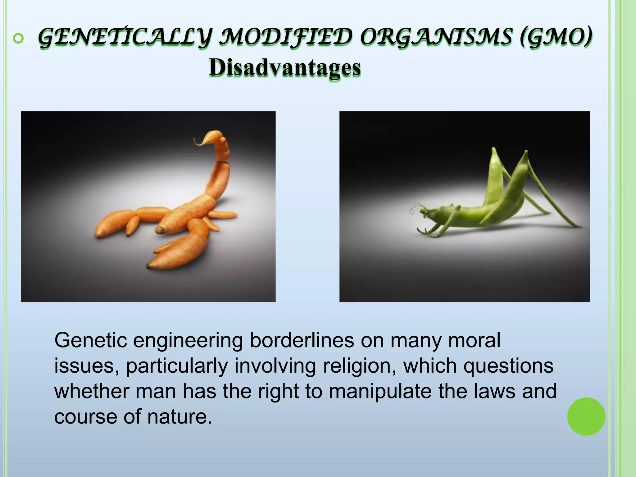  GENETICALLY MODIFIED ORGANISMS (GMO) DisadvantagesGenetic engineering borderlines on many moral issues, particularly involving religion, which questions whether man has the right to manipulate the laws and course of nature.