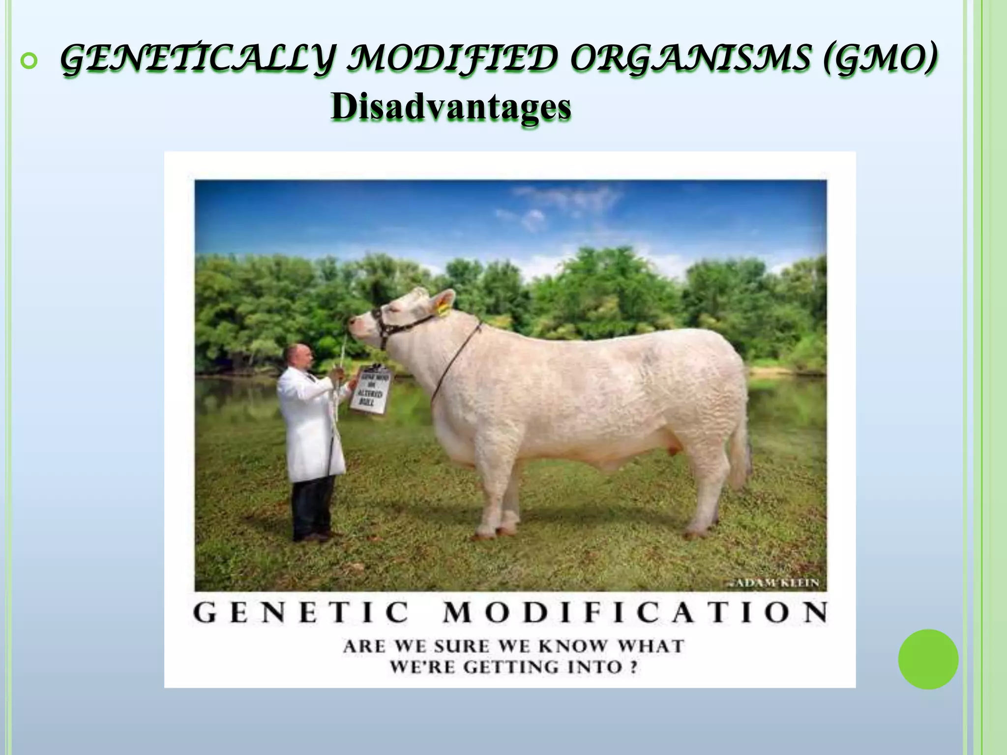  GENETICALLY MODIFIED ORGANISMS (GMO) Disadvantages