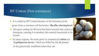 BT Cotton (Pest resistance)
 It is called as BT Cotton because of the Insertion of the
genes from a common soil bacterium ‘Bacillus thuringiensis’
 The gene coding for Bt toxin has been inserted into cotton as a
transgene, causing it to produce this natural insecticide in its
tissues
 In many regions, the main pests in commercial cotton are
‘Lepidopteran larvae’ which are killed by the Bt protein
in the genetically modified cotton they eat
 