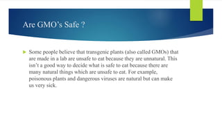 Are GMO’s Safe ?
 Some people believe that transgenic plants (also called GMOs) that
are made in a lab are unsafe to eat because they are unnatural. This
isn’t a good way to decide what is safe to eat because there are
many natural things which are unsafe to eat. For example,
poisonous plants and dangerous viruses are natural but can make
us very sick.
 