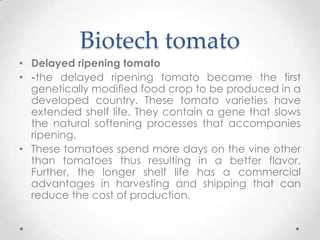 Genetically modified organism tested in the philippines | PPTX