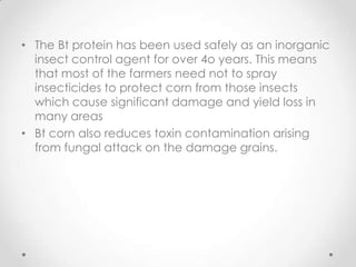 Genetically modified organism tested in the philippines | PPTX