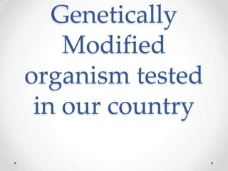 Genetically
    Modified
organism tested
 in our country
 