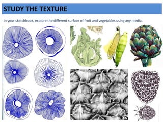 STUDY THE TEXTURE
In your sketchbook, explore the different surface of fruit and vegetables using any media.
 