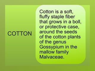COTTON
Cotton is a soft,
fluffy staple fiber
that grows in a boll,
or protective case,
around the seeds
of the cotton plants
of the genus
Gossypium in the
mallow family
Malvaceae.
 
