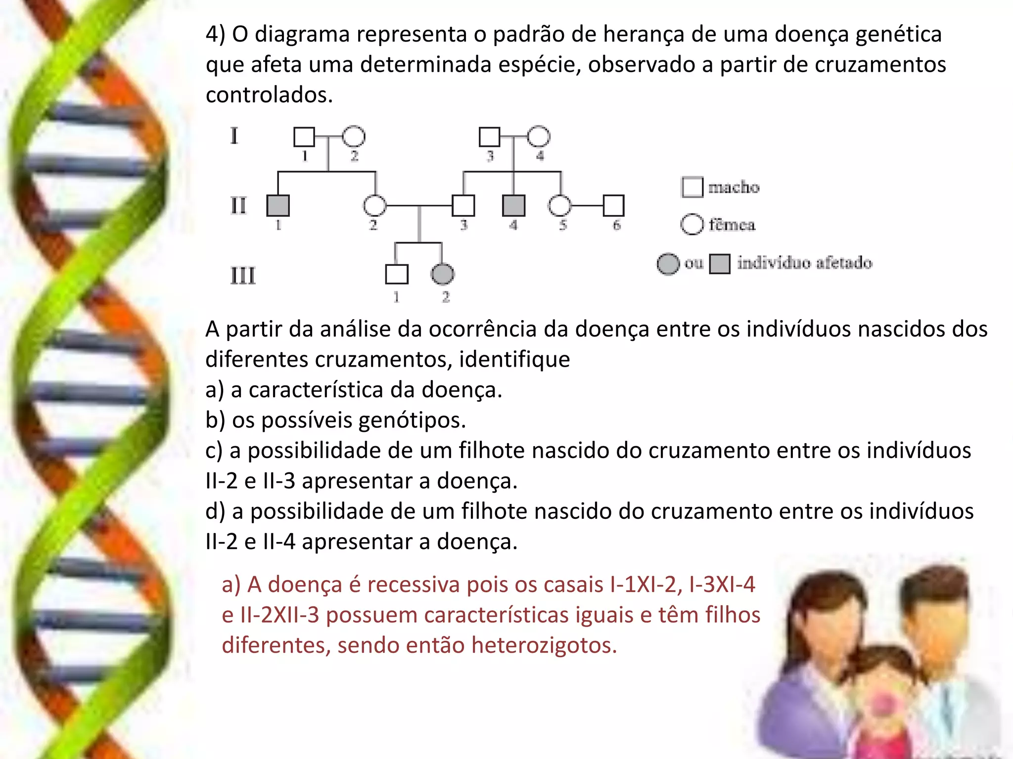 Genetica mecanismos da hereditariedade 1a_lei_mendel | PPTX