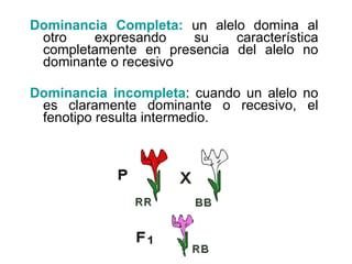 Dominancia Completa:  un alelo domina al otro expresando su característica completamente en presencia del alelo no dominante o recesivo Dominancia incompleta : cuando un alelo no es claramente dominante o recesivo, el fenotipo resulta intermedio. 