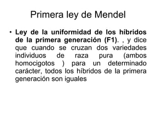 Primera ley de Mendel Ley de la uniformidad de los híbridos de la primera generación (F1) . , y dice que cuando se cruzan dos variedades individuos de raza pura (ambos homocigotos ) para un determinado carácter, todos los híbridos de la primera generación son iguales  