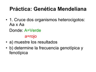 Práctica: Genética Mendeliana 1. Cruce dos organismos heterocigotos: Aa x Aa Donde:  A=Verde a=rojo a) muestre los resultados  b) determine la frecuencia genotípica y fenotípica 
