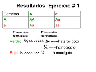 Resultados: Ejercicio # 1 Frecuencias  Frecuencias  fenotípicas:  genotípicas: Verde :  ¾  >>>>>>>  2/4  ------heterocigoto ¼  ------homocigoto Rojo :  ¼ >>>>>>>  ¼ ------homocigoto Gametos A a A AA A a a A a aa 