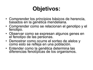 Objetivos: Comprender los principios básicos de herencia, basados en la genética mendeliana. Comprender como se relacionan el genotipo y el fenotipo. Observar como se expresan algunos genes en el fenotipo de las personas. Demostrar como ocurre el sorteo de alelos y como esto se refleja en una población. Entender como la genética determina las diferencias fenotípicas de los organismos. 