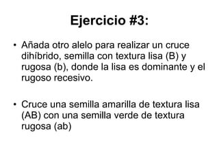 Ejercicio #3: Añada otro alelo para realizar un cruce dihíbrido, semilla con textura lisa (B) y rugosa (b), donde la lisa es dominante y el rugoso recesivo. Cruce una semilla amarilla de textura lisa (AB) con una semilla verde de textura rugosa (ab) 