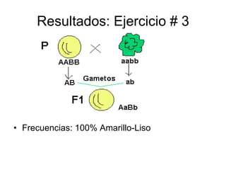 Resultados: Ejercicio # 3 Frecuencias: 100% Amarillo-Liso 