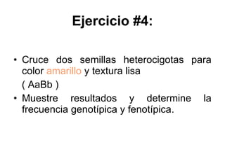 Ejercicio #4: Cruce dos semillas heterocigotas para color  amarillo  y textura lisa  ( AaBb ) Muestre resultados y determine la frecuencia genotípica y fenotípica . 